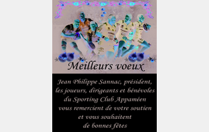 BONNES FETES !!!!