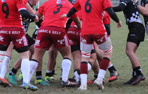 Balandrade : CASTELSARRASIN Vs PAMIERS
