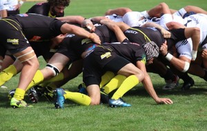 FEDERALE 2 : PAMIERS 1 Vs MALEMORT 1