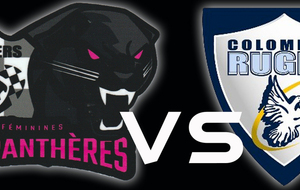 PAMIERS Vs COLOMIERS