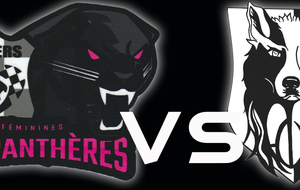 PAMIERS Vs Ent. BAGNERES BARONNIES
