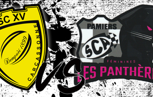 CARCASSONNE Vs PAMIERS