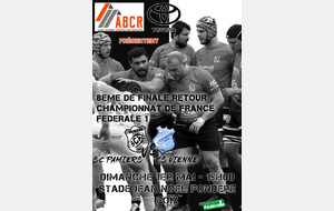 PAMIERS Vs VIENNE