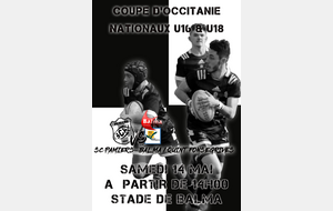 Rst BALMA-QUINT FONSEGRIVES Vs PAMIERS