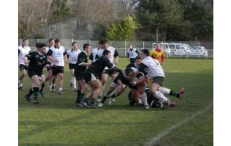 PHOTOS EN LIGNE : le retour
